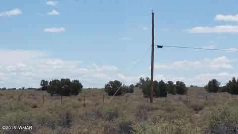 4507 Springer Cir, Snowflake, AZ 85937 photo 3