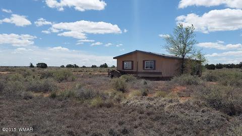4507 Springer Cir, Snowflake, AZ 85937 photo 5