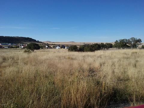 1590 W Zebra Way, Eagar, AZ 85925 photo 2