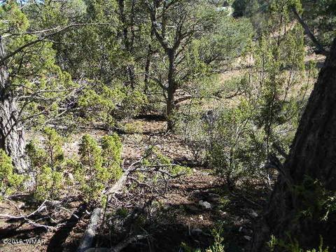 3686 Pine Rim Dr, Overgaard, AZ 85933 photo 7