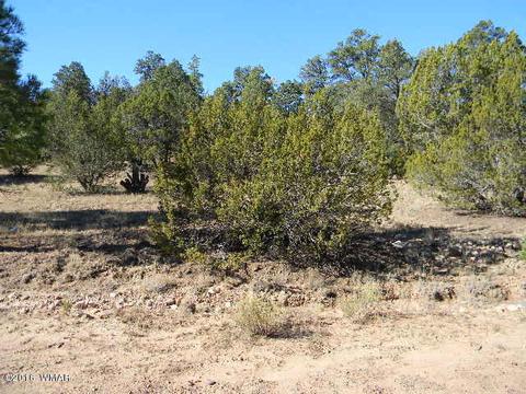 3686 Pine Rim Dr, Overgaard, AZ 85933 photo 10
