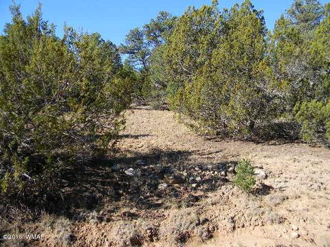3686 Pine Rim Dr, Overgaard, AZ 85933 photo 11