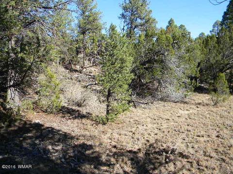 3686 Pine Rim Dr, Overgaard, AZ 85933 photo 8