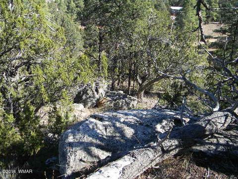 3686 Pine Rim Dr, Overgaard, AZ 85933 photo 4