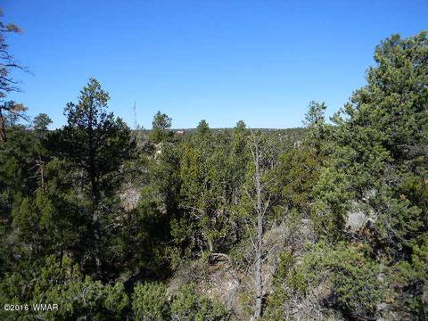 3686 Pine Rim Dr, Overgaard, AZ 85933 photo 1