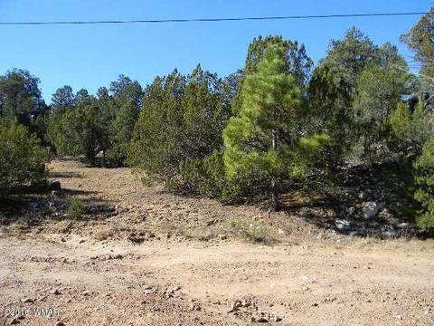 3686 Pine Rim Dr, Overgaard, AZ 85933 photo 13