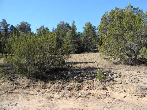 3686 Pine Rim Dr, Overgaard, AZ 85933 photo 12