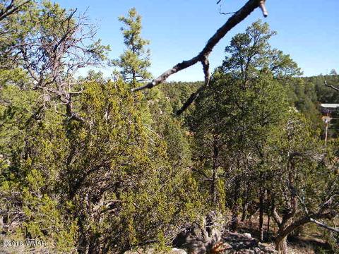 3686 Pine Rim Dr, Overgaard, AZ 85933 photo 3