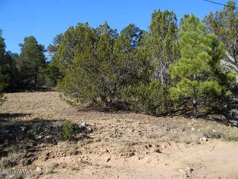 3686 Pine Rim Dr, Overgaard, AZ 85933 photo 14