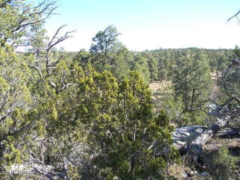 3686 Pine Rim Dr, Overgaard, AZ 85933 photo 2