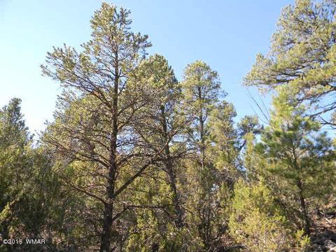 3686 Pine Rim Dr, Overgaard, AZ 85933 photo 6