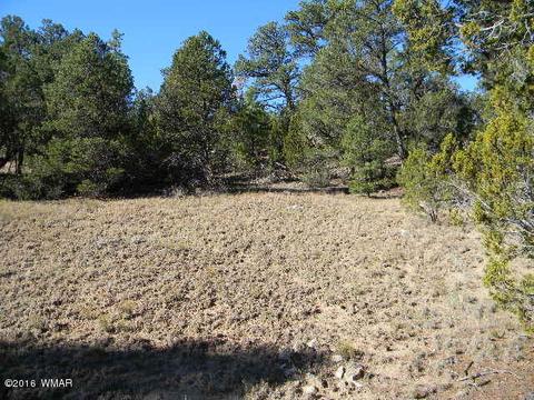 3686 Pine Rim Dr, Overgaard, AZ 85933 photo 9