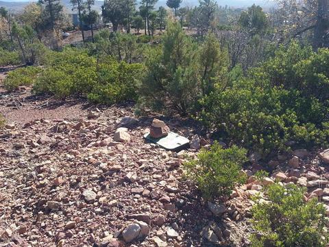 6256 Apache, Show Low, AZ 85901 photo 3