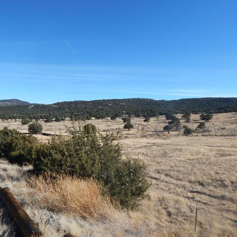 1403 S Marion, Eagar, AZ 85925 photo 6