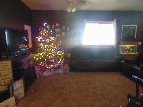 861 S 3rd St, Snowflake, AZ 85937 photo 5