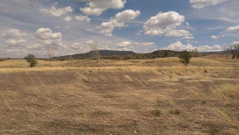 307 N Old Gristmill Rd, Eagar, AZ 85925 photo 4