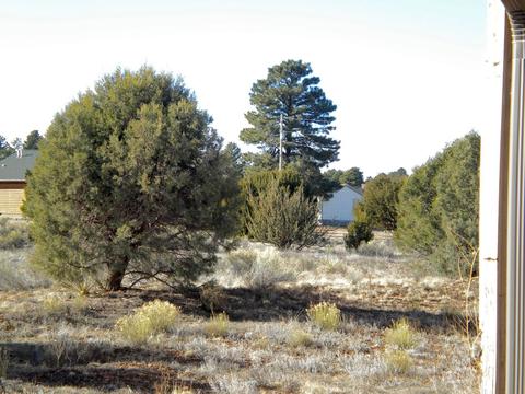 2746 Pine View Ct, Overgaard, AZ 85933 photo 19
