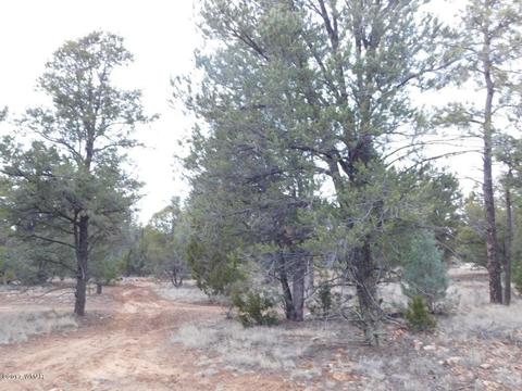 2176 Gingerbread Ln, Overgaard, AZ 85933 photo 14