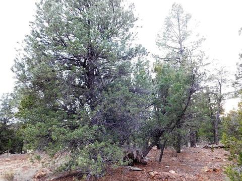 2176 Gingerbread Ln, Overgaard, AZ 85933 photo 10