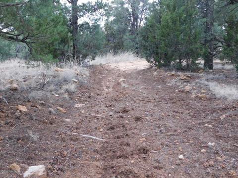 2176 Gingerbread Ln, Overgaard, AZ 85933 photo 16