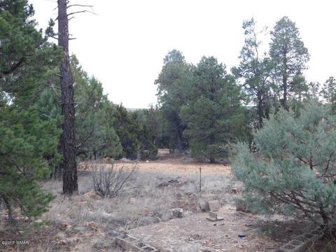 2176 Gingerbread Ln, Overgaard, AZ 85933 photo 8