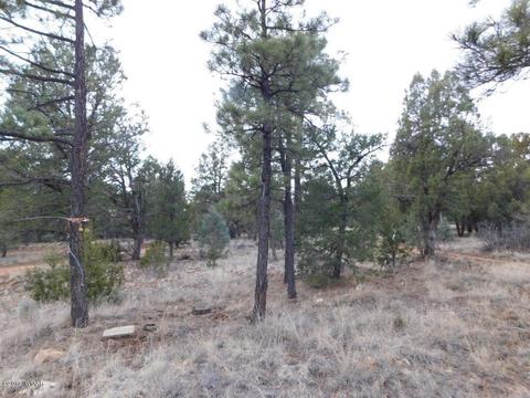 2176 Gingerbread Ln, Overgaard, AZ 85933 photo 6