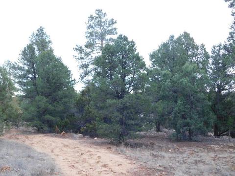 2176 Gingerbread Ln, Overgaard, AZ 85933 photo 11