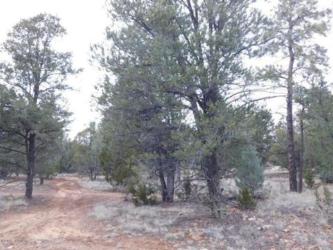 2176 Gingerbread Ln, Overgaard, AZ 85933 photo 15