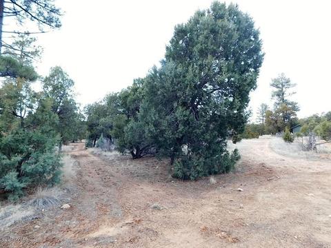 2176 Gingerbread Ln, Overgaard, AZ 85933 photo 4