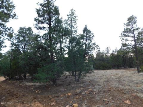 2176 Gingerbread Ln, Overgaard, AZ 85933 photo 5