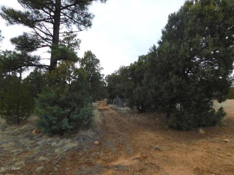 2176 Gingerbread Ln, Overgaard, AZ 85933 photo 1