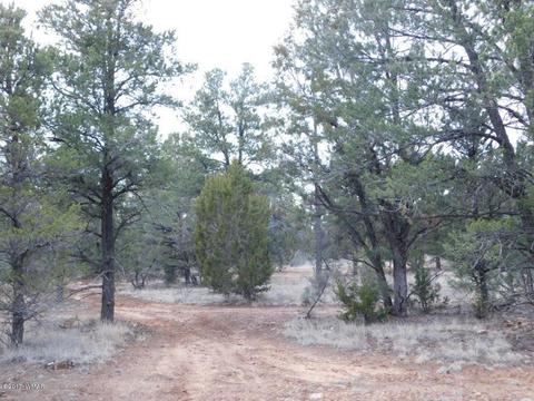 2176 Gingerbread Ln, Overgaard, AZ 85933 photo 12