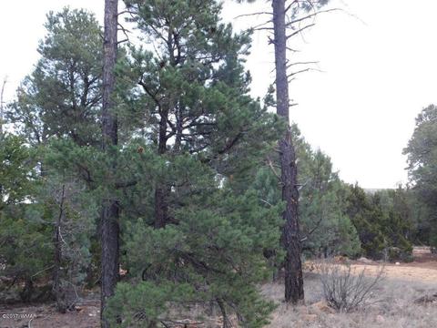 2176 Gingerbread Ln, Overgaard, AZ 85933 photo 7