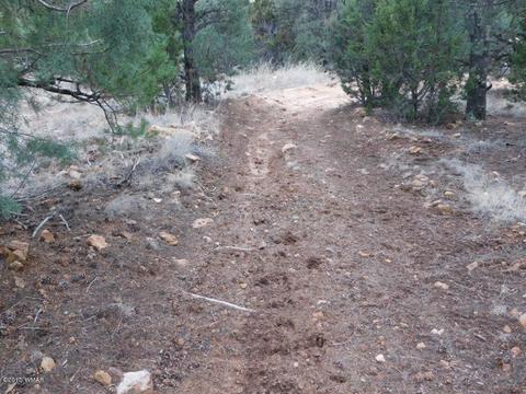 2176 Gingerbread Ln, Overgaard, AZ 85933 photo 2