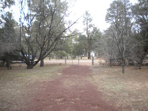 2052 Chipmunk Xing, Overgaard, AZ 85933 photo 20