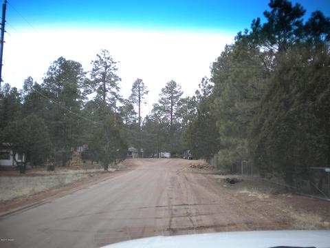2052 Chipmunk Xing, Overgaard, AZ 85933 photo 22