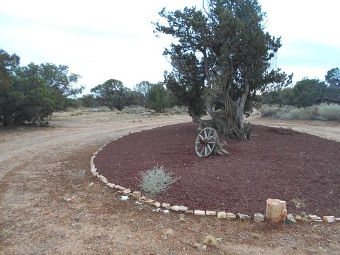 9068 E Juniper Berry Trl, Snowflake, AZ 85937 photo 32