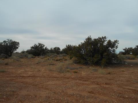 9068 E Juniper Berry Trl, Snowflake, AZ 85937 photo 40