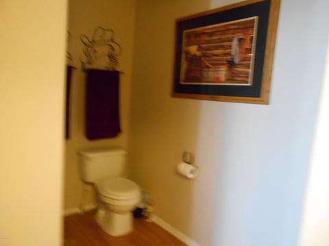 9068 E Juniper Berry Trl, Snowflake, AZ 85937 photo 14