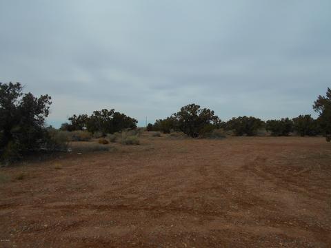 9068 E Juniper Berry Trl, Snowflake, AZ 85937 photo 41