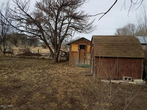 183 E 1st Ave, Eagar, AZ 85925 photo 16