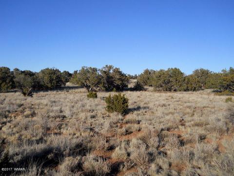 4209 Del Contento Rd, Snowflake, AZ 85937 photo 22