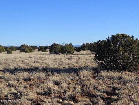 4209 Del Contento Rd, Snowflake, AZ 85937 photo 25