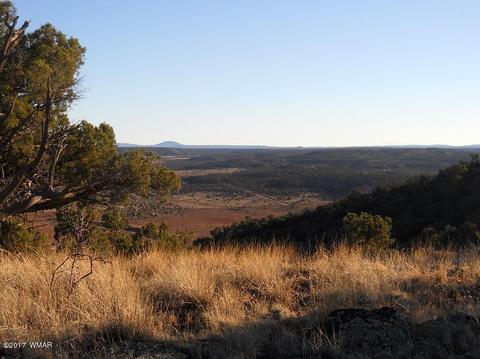 4209 Del Contento Rd, Snowflake, AZ 85937 photo 1