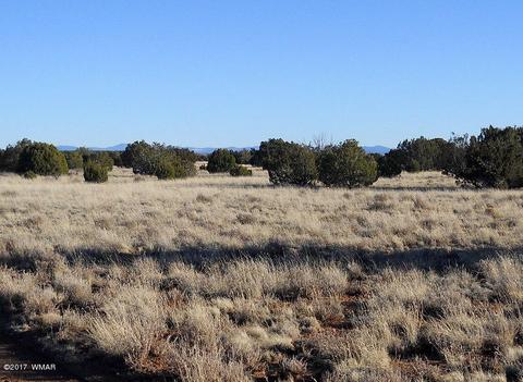 4209 Del Contento Rd, Snowflake, AZ 85937 photo 24
