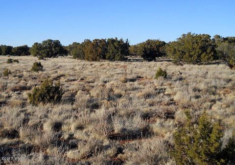 4209 Del Contento Rd, Snowflake, AZ 85937 photo 23