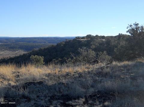 4209 Del Contento Rd, Snowflake, AZ 85937 photo 4