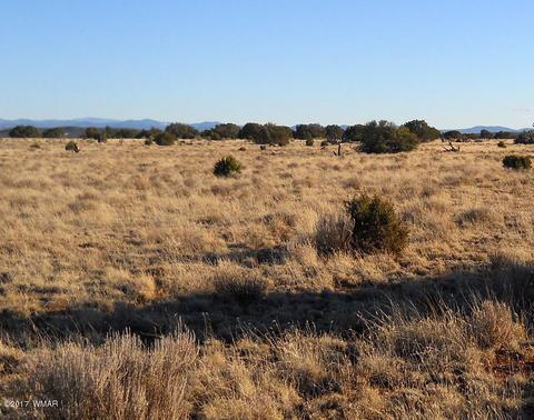 4209 Del Contento Rd, Snowflake, AZ 85937 photo 18