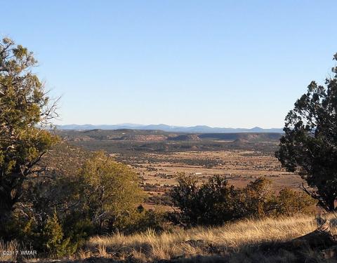 4209 Del Contento Rd, Snowflake, AZ 85937 photo 5