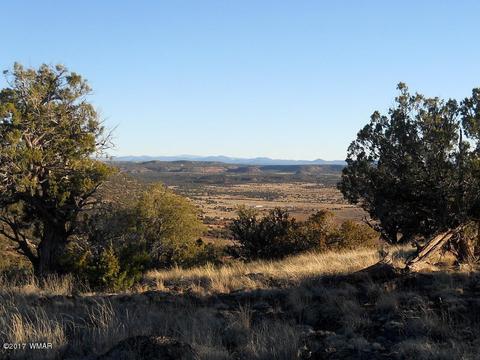4209 Del Contento Rd, Snowflake, AZ 85937 photo 12